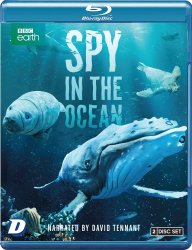 spy in the ocean bluray