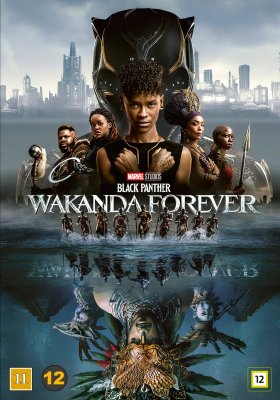 black panther wakanda forever dvd