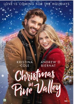 christmas in pine valley dvd